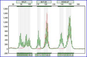 what is microsatellite instability